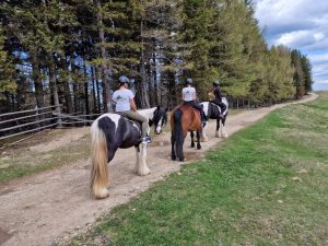 Echitatie pasul palma 50 2jpeg